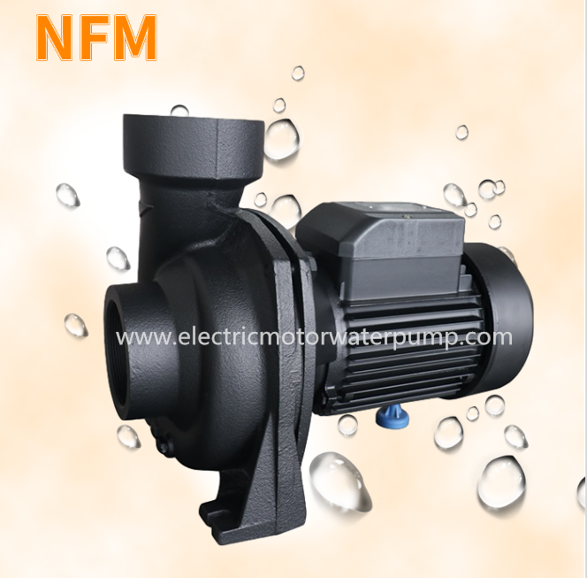 NFMの水ポンプ
