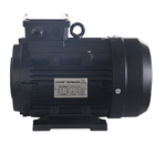 Hydro Series Horizontal Hollow Shaft Electric Motor Portable For High Pressure Washer
