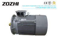 7.5KW IE3 Electric Motors , IE3-132S2-2 3 Phase Electric Motor IEC60034 30 1