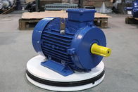 Blender Copper Wire 3 Phase Induction Motor 0.75hp 0.55kw With Reducer Belt Wheel