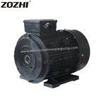 Three Phase Hollow Shaft Electric Motor Aluminum Housing HS112M1-4 4KW 5.5HP IEC