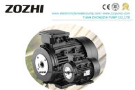 4HP 1400RPM Hollow Shaft Motor Aluminum For Piston 200 Bar Pump Vehicle Washer