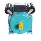 Cast Iron Electric Motor Water Pump 2 Pole Capacitor Start IP44 YC80B-2
