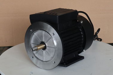 Aluminum Single Phase Electric Motor 0.75KW MYT712-2 For Swimming Pool Pump