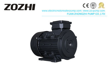 4 Pole Hollow Shaft Motor 132S1-4 5.5KW 1500Rpm 100 Flange Size For Clean Machine