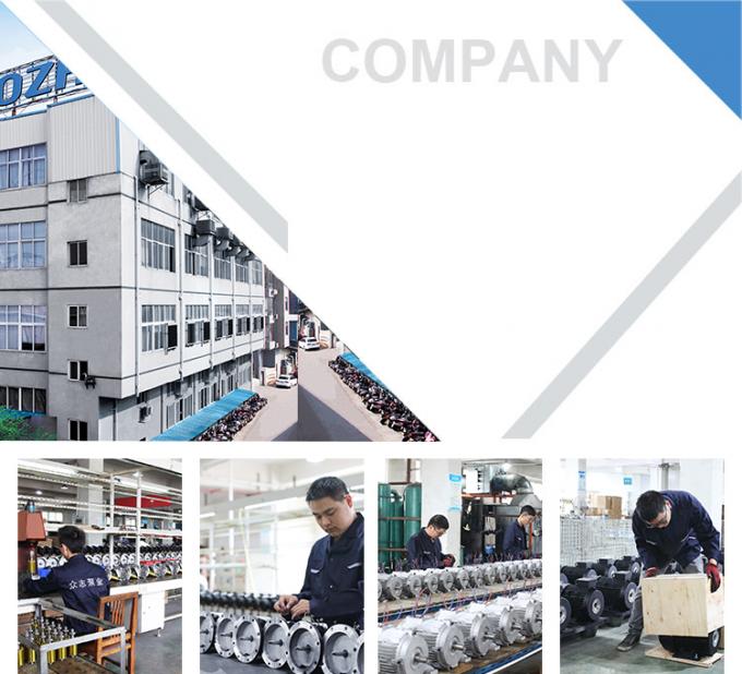 2800rpm 単相非同期モーター、防水アルミニウムハウジング、220V 50Hz 周波数のスイミングプールポンプ 9