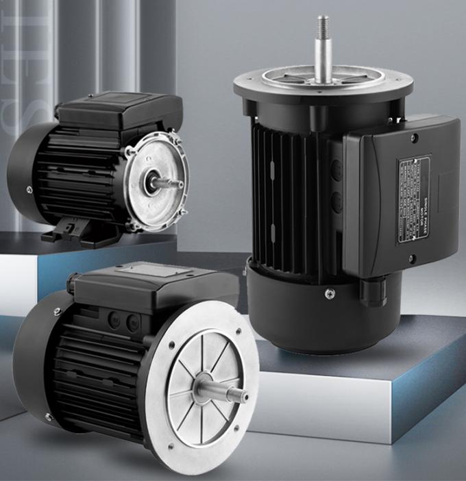 2800rpm 単相非同期モーター、防水アルミニウムハウジング、220V 50Hz 周波数のスイミングプールポンプ 1