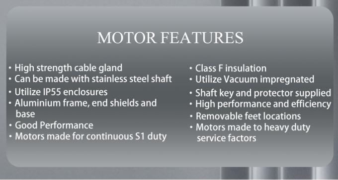 2800rpm 単相非同期モーター、防水アルミニウムハウジング、220V 50Hz 周波数のスイミングプールポンプ 4