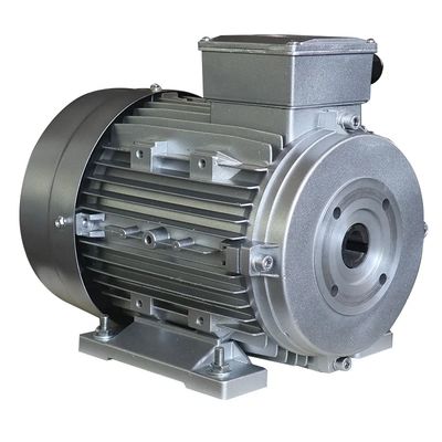 5.5kw 3 Phase Aluminum AC Electric High Power Motor for Ms Series IE1 IE2 IE3