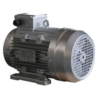 440 Volts 3 Phase Induction Motor 2 Pole Cast Iron Housing Robust Construction Suitable Agricultural Equipment