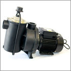 0.55kw Single Phase Induction Motor 50HZ/60HZ For Plastic Swimming Pool Pumps