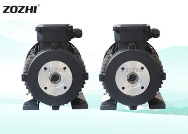 Fan Cooled Three Phase Induction Motor