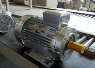 Spanking Machine 1400rpm 3 Phase Induction Motor 250W 300W