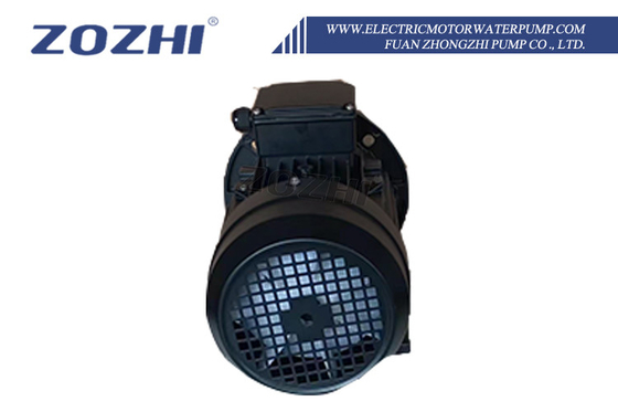 工業用水供給用 7.5HP/5.5KW 出力と 500 GPH の流量率を持つ 4 極電動モーター水ポンプ