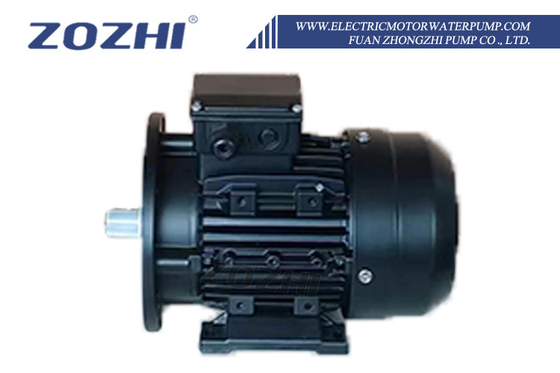 500 GPH 流量、最大揚程25フィート、20m揚程の電動モーターウォーターポンプ。信頼性の高い水移送に。