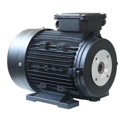 24mm Shaft Hollow Shaft Motor Quiet Running Noise Level 65dB or Less Suitable for High Pressure Washer Machine
