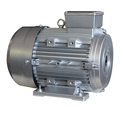 24mm Shaft Hollow Shaft Motor Offering 100 Percent Copper Winding and 380V Rated Voltage Ideal for Conveyor Belt Systems