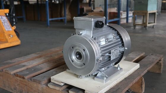 Humidity 90 Percent 3 Phase Induction Motor Featuring Cast Iron Aluminum Brass Insert Front Cover Frequency 50 Hz 60 Hz
