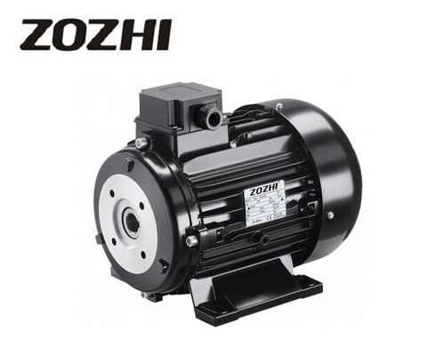 Waterproof 5.5kW Three-Phase Hollow Shaft Motor with Flange Mount for Pressure Washers